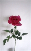 Pink flot stor silke rose ca. 75 cm.